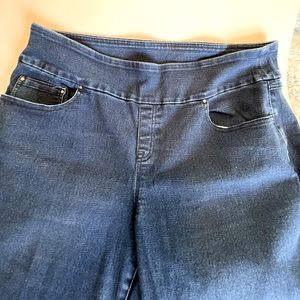 Time and Tru Denim Blue Jeans Size XL 16-18